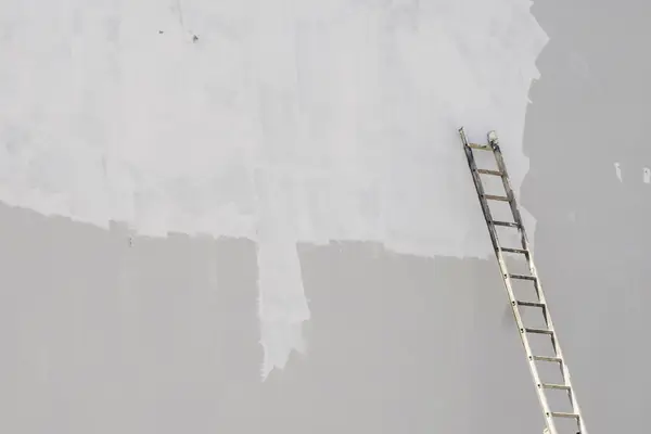 Exterior painting in Baton Rouge: ladder against a freshly primed wall